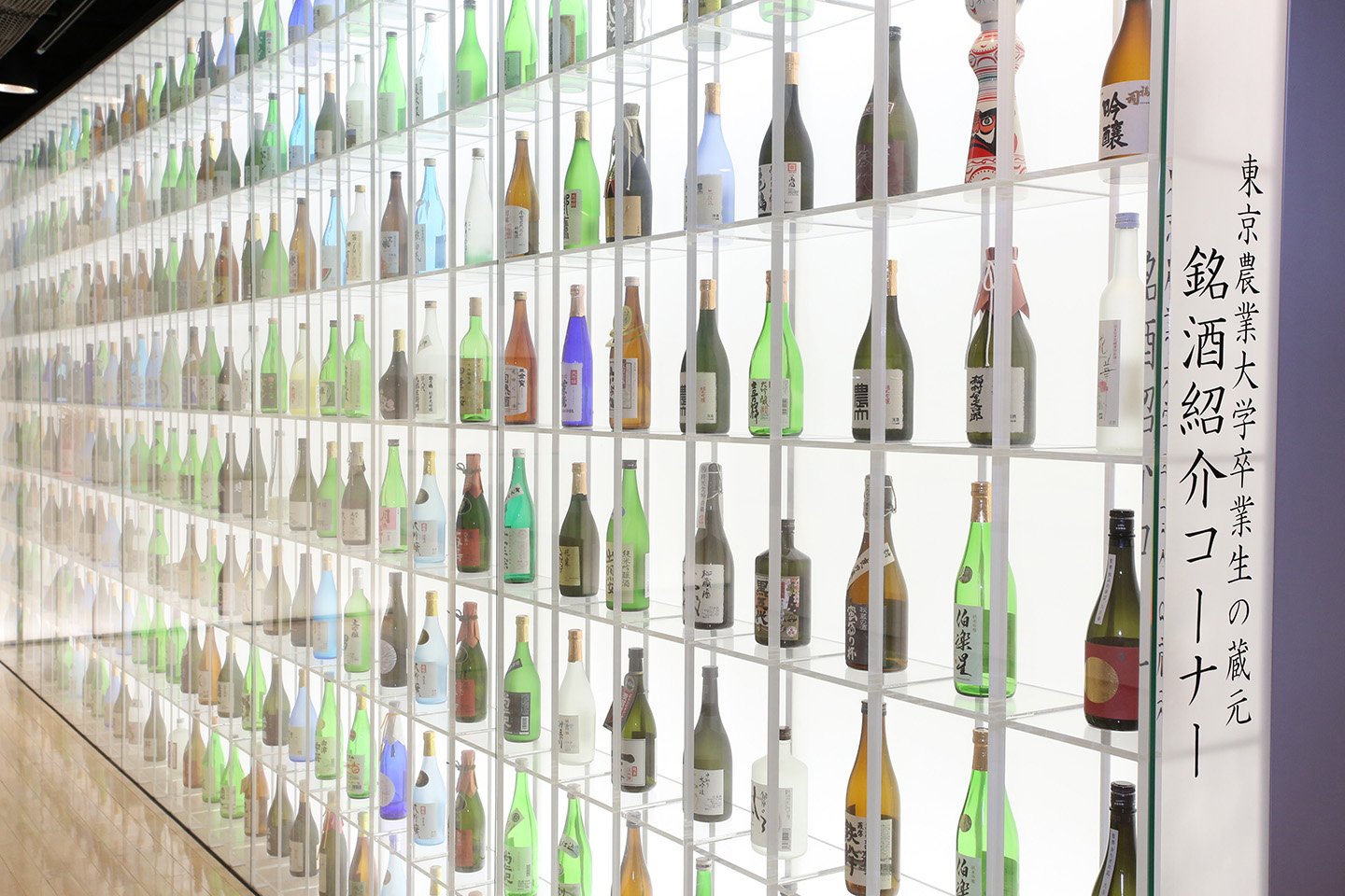 🏛️ 식과 농 박물관(도쿄노교다이가쿠 쇼쿠토노노하쿠부쓰칸) 이미지 4